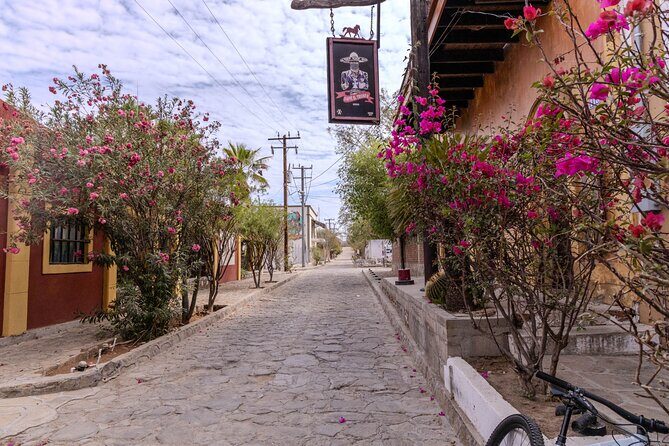 Cultural and Culinary Tour of El Triunfo, Baja California Sur - Final Thoughts
