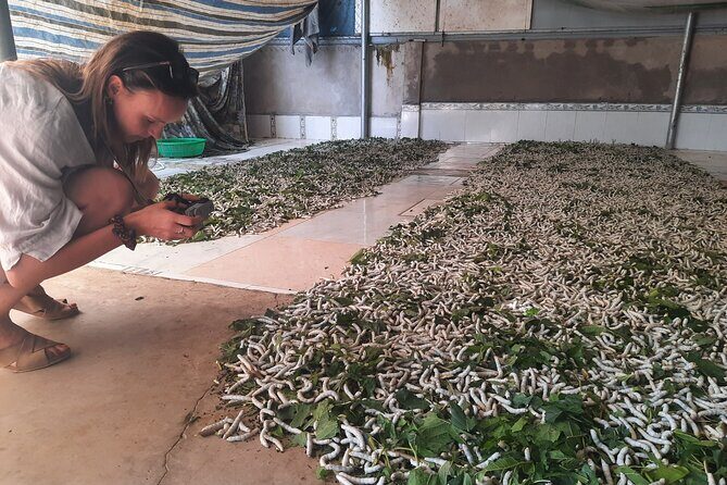 Cultural Bike Tour in Nam Cat Tien - Key Points