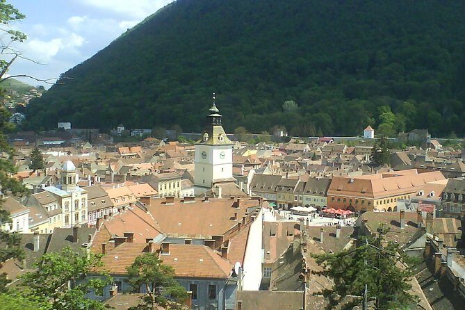 Cultural Day Trip to Transylvania including Peles Castle & Bran Dracula's Castle - What Makes This Tour Stand Out?