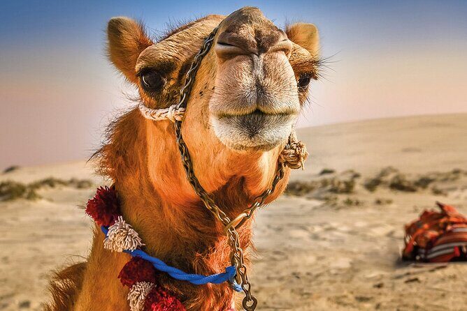 Cultural excursion for one day to Tangier with ferry included - Discovering Tangier from Tarifa: A Practical and Authentic Day Trip