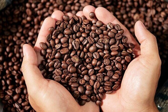 Cultural Immersion in Cacao and Coffee in the Southern Sierra of Oaxaca - The Sum Up