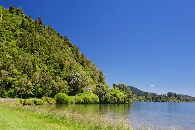 Cultural Rotorua Private Tour Tauranga Port. Whakarewarewa Ticket - Exploring Tauranga and the Way to Rotorua