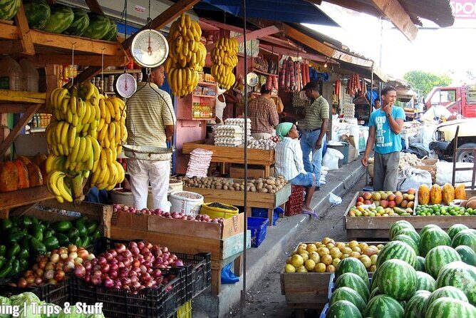 Cultural Safari Tour through the countryside of the Dominican Republic - Key Points