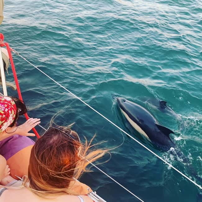 Cultural Sailing Tour in Lisbon - Why Choose a Sailing Tour in Lisbon?