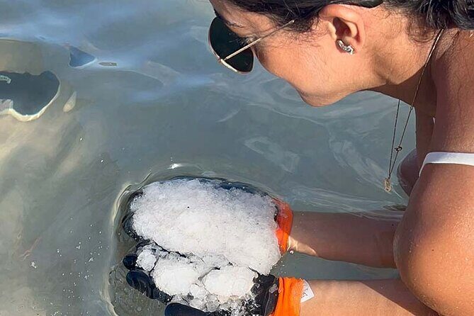 Cultural Salt Picking Experience in Anguilla - Who Will Love This Tour?