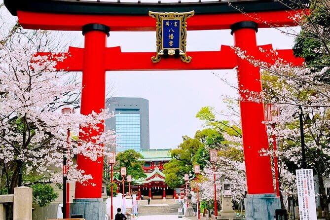 Cultural Temple Tour with a Real Local in Calm East Tokyo - Key Points