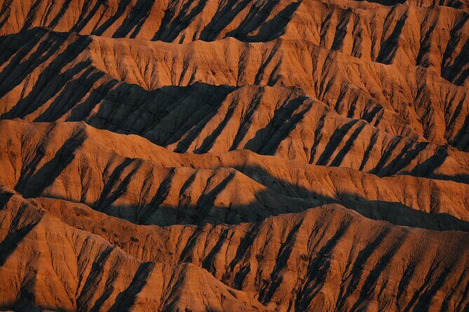 Cultural Tour at Kyrgyzstan in 8 days - What Reviews Say