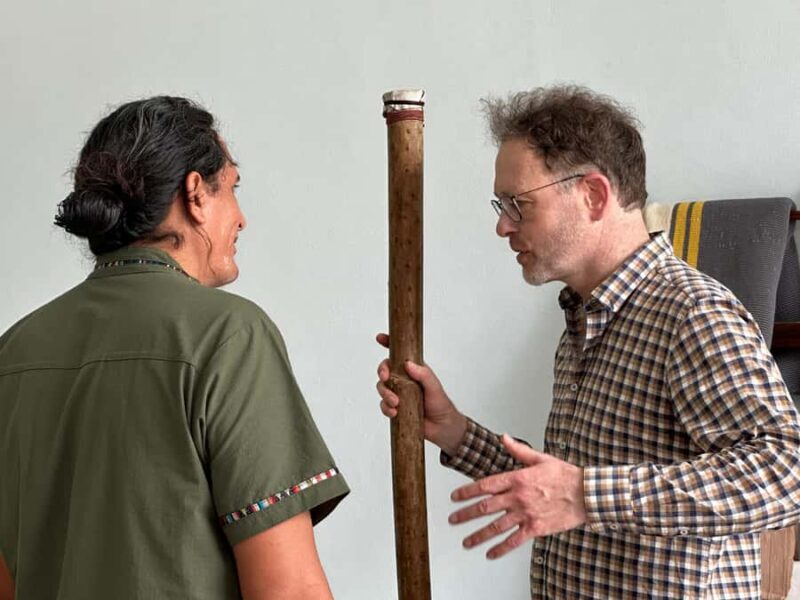 Cultural tour in Mérida's historic center - Key Points