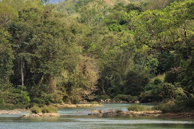 Cultural Walk and Natural Beauty near Semuc Champey - An Authentic Cultural and Natural Journey Near Semuc Champey