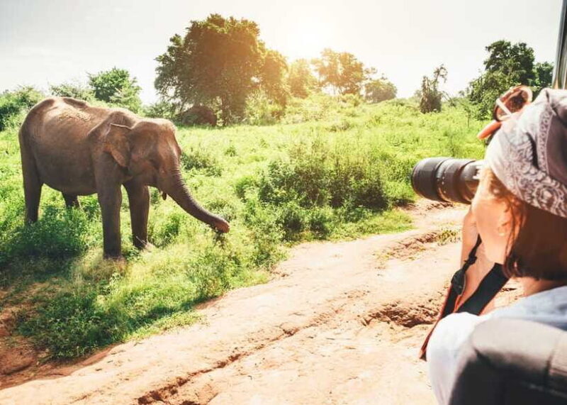 Culture and Wildlife 4 Days Private Tour with Beach Holiday - FAQ