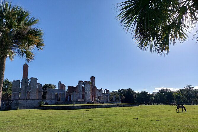 Cumberland Island Walking Tour - Key Points
