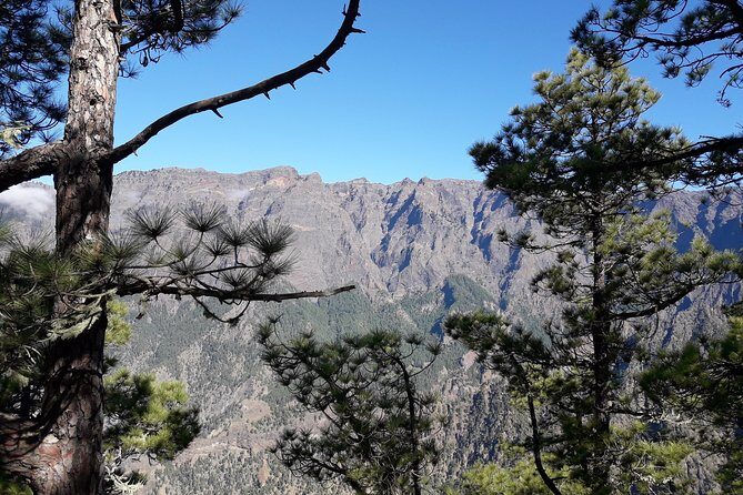 Cumbrecita Route and Volcanoes (Price per vehicle not per person) - A Detailed Breakdown of the La Palma Volcanoes and Cumbrecita Route