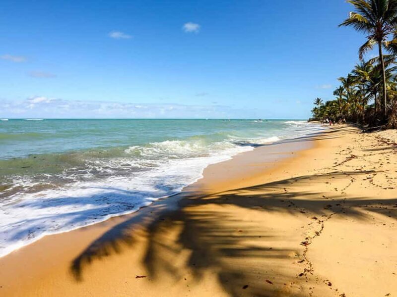 Cumbuco Adventure: Dune Rides, Lagoa do Catu & Coastal Views - Discovering Cumbuco: Dune Rides, Lagoa do Catu & Coastal Views