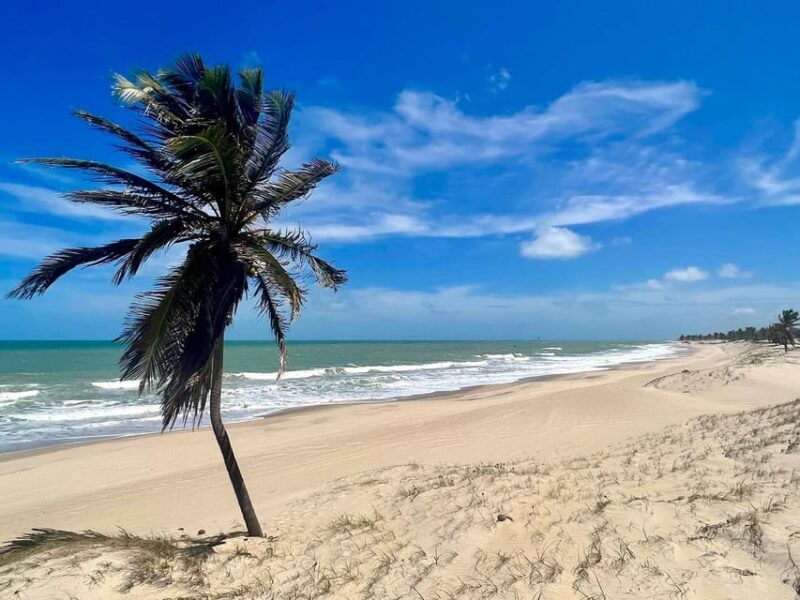 Cumbuco in a Day: Incredible Discoveries - Cumbuco in a Day: Incredible Discoveries