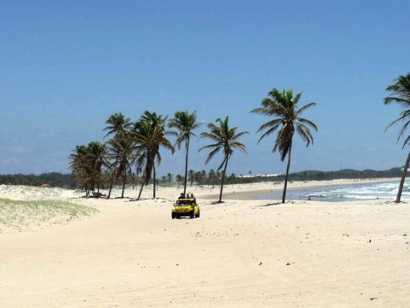 Cumbuco in a Day: Incredible Discoveries - Price and Value Analysis