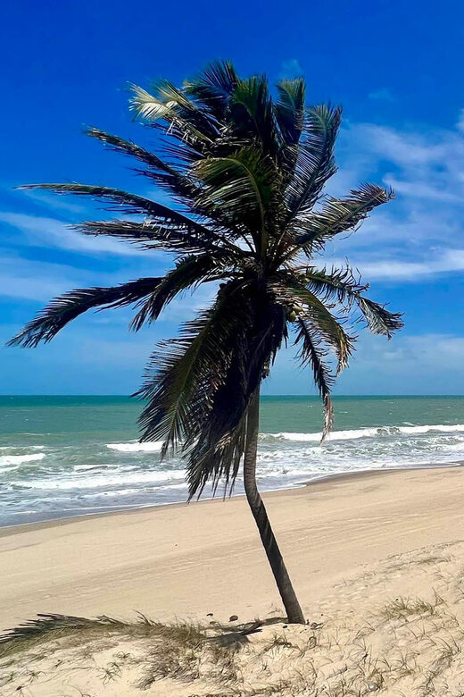 Cumbuco in a Day: Incredible Discoveries - FAQs