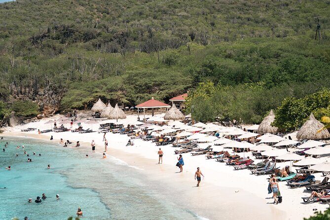 Curaçao Full-Day Tour: Hato Caves, Turtles, Kenepa & Flamingos - Curaçao Full-Day Tour: Hato Caves, Turtles, Kenepa & Flamingos