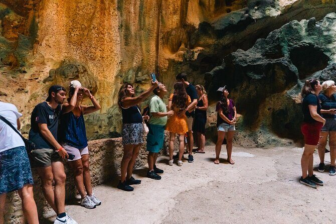 Curaçao Full-Day Tour: Hato Caves, Turtles, Kenepa & Flamingos - Why Choose This Tour?