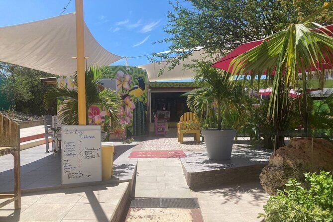 Curacao Half Day ATV East Adventure Tour - Who Should Consider This Tour?