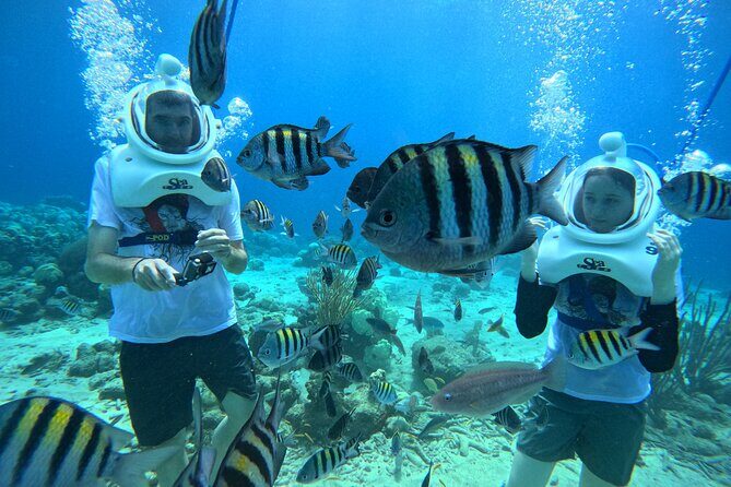 Curacao Helmet Diving-Walk the Ocean Floor, No Swimming Required - A Closer Look at the Curacao Helmet Diving Tour