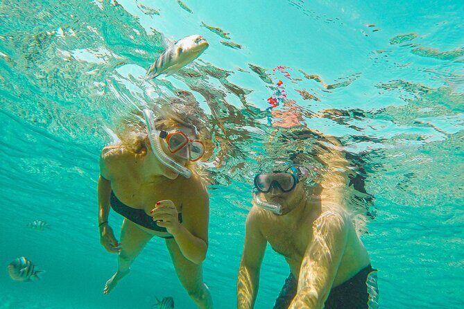 Curacao: Private Boat Tour Half Day - Final Thoughts