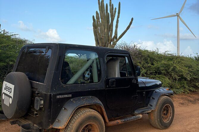 Curacao Private Jeep Off-Road Tour to Swimming with Sea Turtles - FAQ