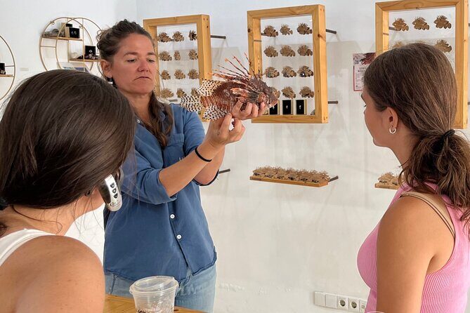 Curaçao Royal Trip - The Sum Up