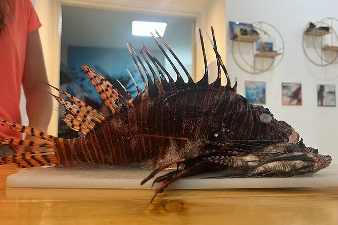 Curaçao Royal Trip - FAQs