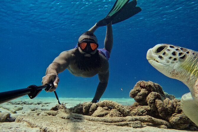 Curaçao Seabob in Playa Piskado Adventure with Sea Turtles - The Sum Up: The Best of Curaçao’s Underwater World