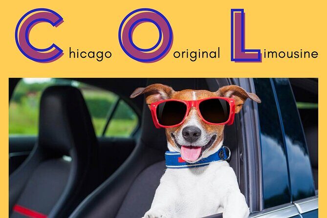 Curbside Sedan Transportation from O'Hare or Midway Airport to Downtown Chicago - Authentic Experiences and Genuine Value