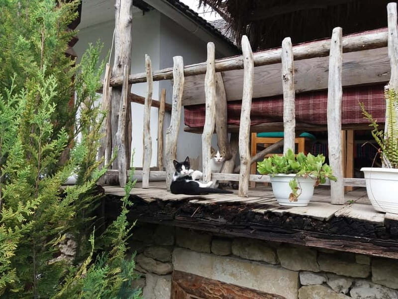 Curchi Monastery, Old Orhei and Cricova Winery (Optional) - Exploring Moldova’s Top 3: A Detailed Look