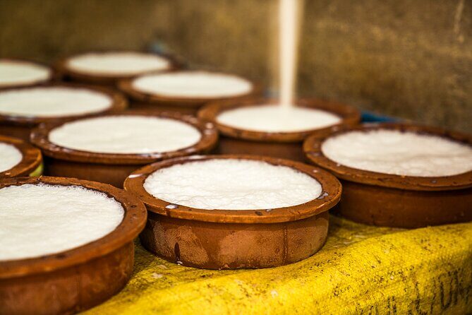 Curd Processing Experience from Tissamaharama - A Detailed Look at the Curd Processing Experience