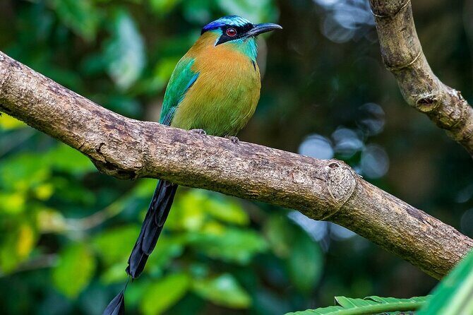 Curi Cancha Nature Experience - Key Points