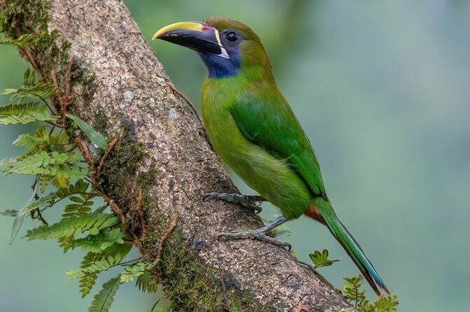 Curi Cancha Nature Experience - An In-Depth Look at the Curi Cancha Nature Experience