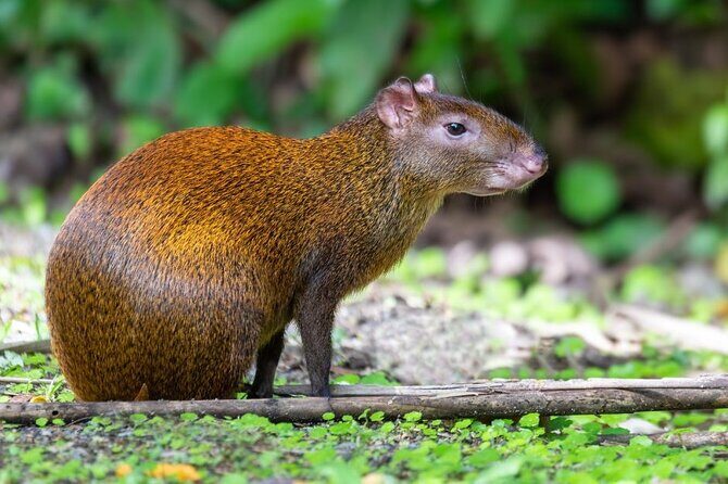 Curi Cancha Nature Experience - The Sum Up