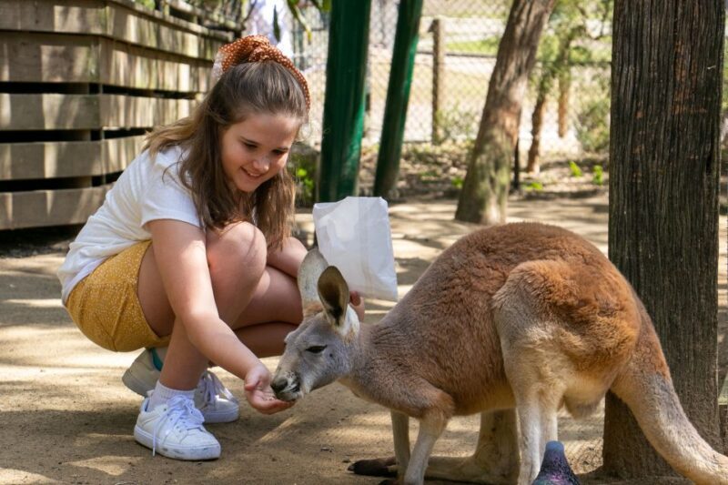 Currumbin Wildlife Sanctuary Entry Ticket - Who Should Visit Currumbin Wildlife Sanctuary?