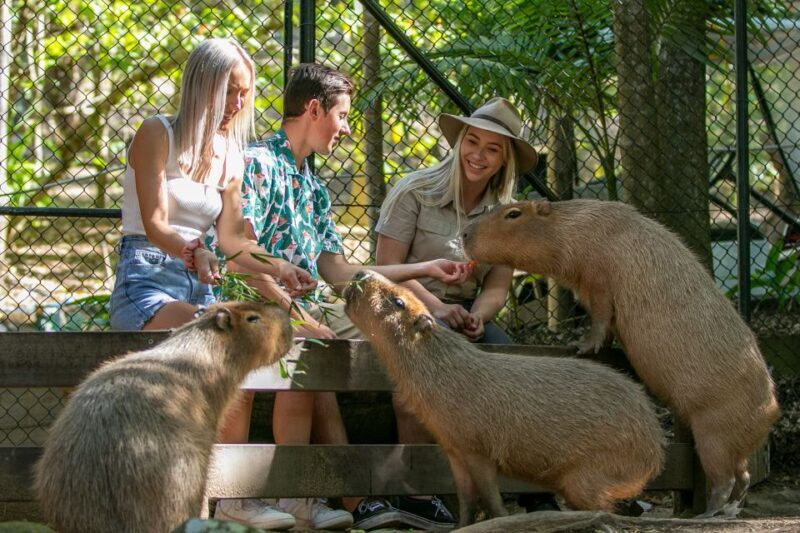 Currumbin Wildlife Sanctuary Entry Ticket - The Sum Up