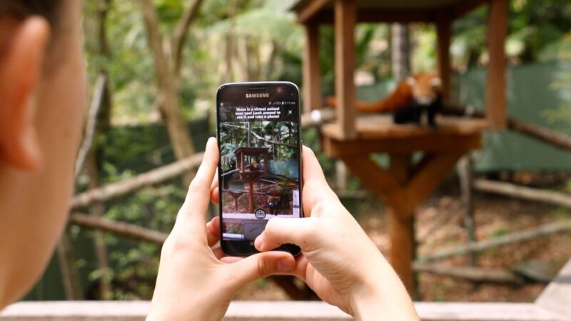 Currumbin Wildlife Sanctuary Entry Ticket - Frequently Asked Questions