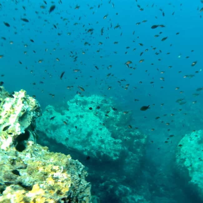 Curso de PaddleSurf, Visita Cuevas y Calas secretas, Snorkel - Is This Tour Worth It?