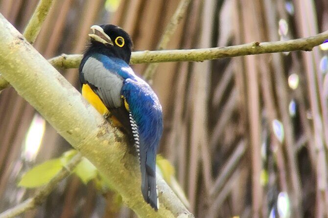 Curú Wildlife Refuge With Transportation - Who Should Consider This Tour?