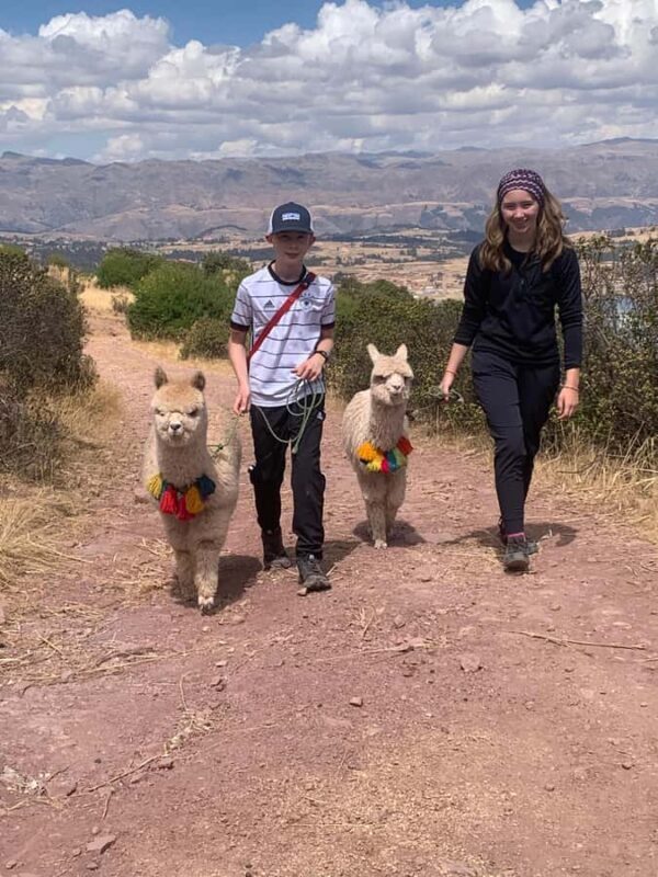 Cusco: 2-Day Alpaca Lodge Stay and Llama Hike with Meals - FAQs