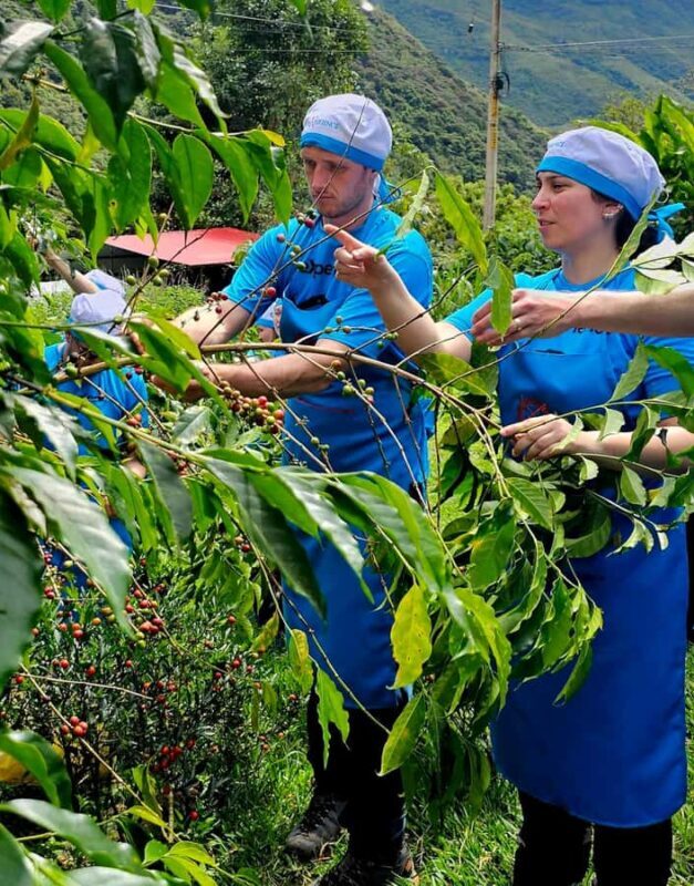 Cusco: 4-Day Salkantay Trek to Machu Picchu, Panoramic Train - Final Thoughts