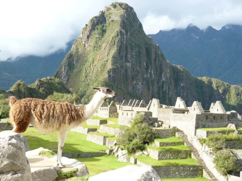 Cusco: 7 Day Andean Experience of the Living Incas Culture - Practical Details: What’s Included and What to Know