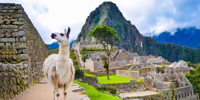 Cusco: 8-Day Peru Trip with Sacred Valley and Machu Picchu - A Deep Dive into the Cusco: 8-Day Peru Trip Experience