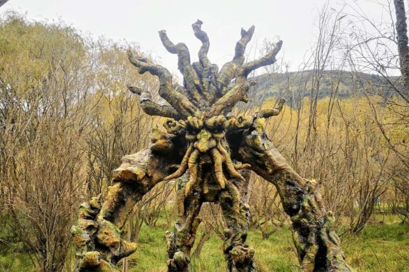 Cusco: Abode of the Gods, Valley of the Goblins and Huasao - In-Depth: What to Expect on This Day Tour