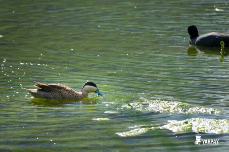 Cusco: Abode of the Gods, Valley of the Goblins and Huasao - Who Will Love This Tour?