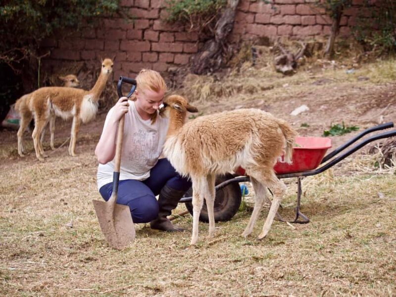 Cusco: Alpaca and Llama Farm Tour w/ Transfer & Weaving Demo - Who Will Enjoy This Tour?