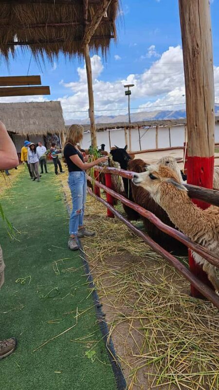 Cusco: Alpaca and Llama Farm Tour w/ Transfer & Weaving Demo - Final Thoughts