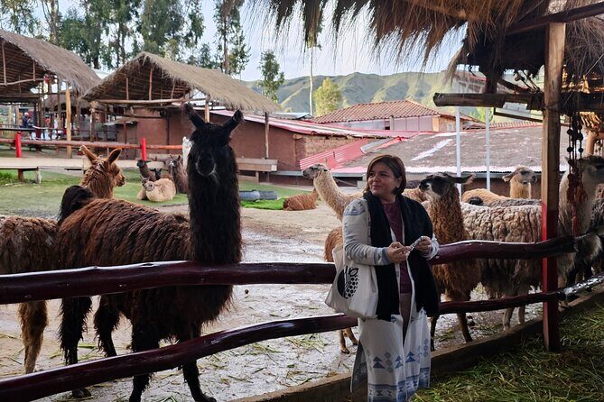 Cusco: Alpaca and Llama Farm Tour with Transfer & Weaving Demo - FAQ