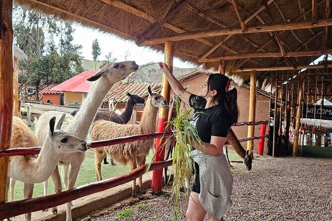 Cusco: Alpaca and Llama Farm Tour with Transfer & Weaving Demo - Who Should Consider This Tour?